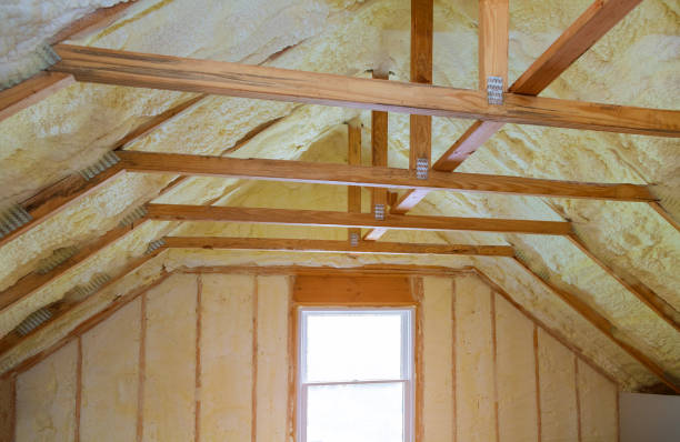 Professional Insulation Contractor in MO